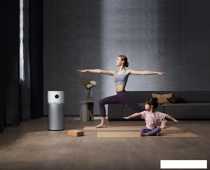 Очистители и мойки воздуха Xiaomi Smart Air Purifier Elite Y-600 (европейская версия)