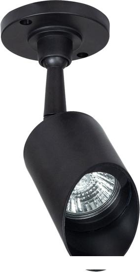 Уличный подвесной светильник Arte Lamp Elsie A1022AL-1BK