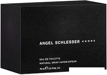 Туалетная вода Angel Schlesser Homme edT (125 мл)