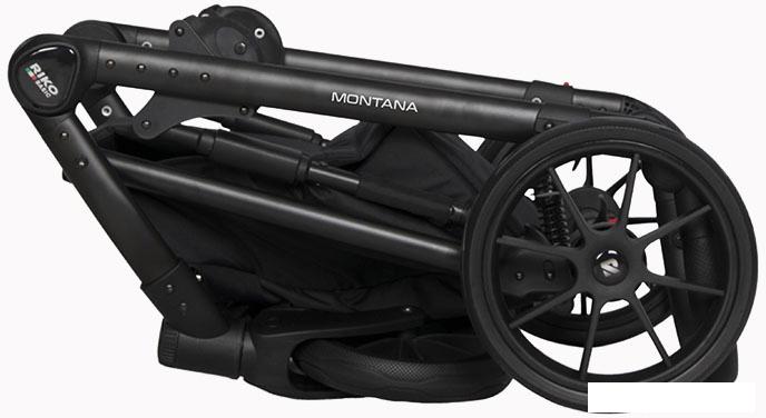 Универсальная коляска Riko Basic Montana Ecco (3 в 1, 12/черный)