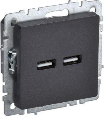 Розетки, выключатели IEK Brite BR-U21-D31-K02