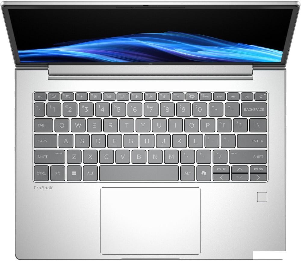 Ноутбук HP ProBook 4 G1iR 14 C1LK3PC Win 11 Home