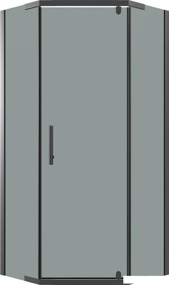 Душевой уголок Niagara Eco NG-1010-14DT 100x100x190 (черный/стекло тонированное)