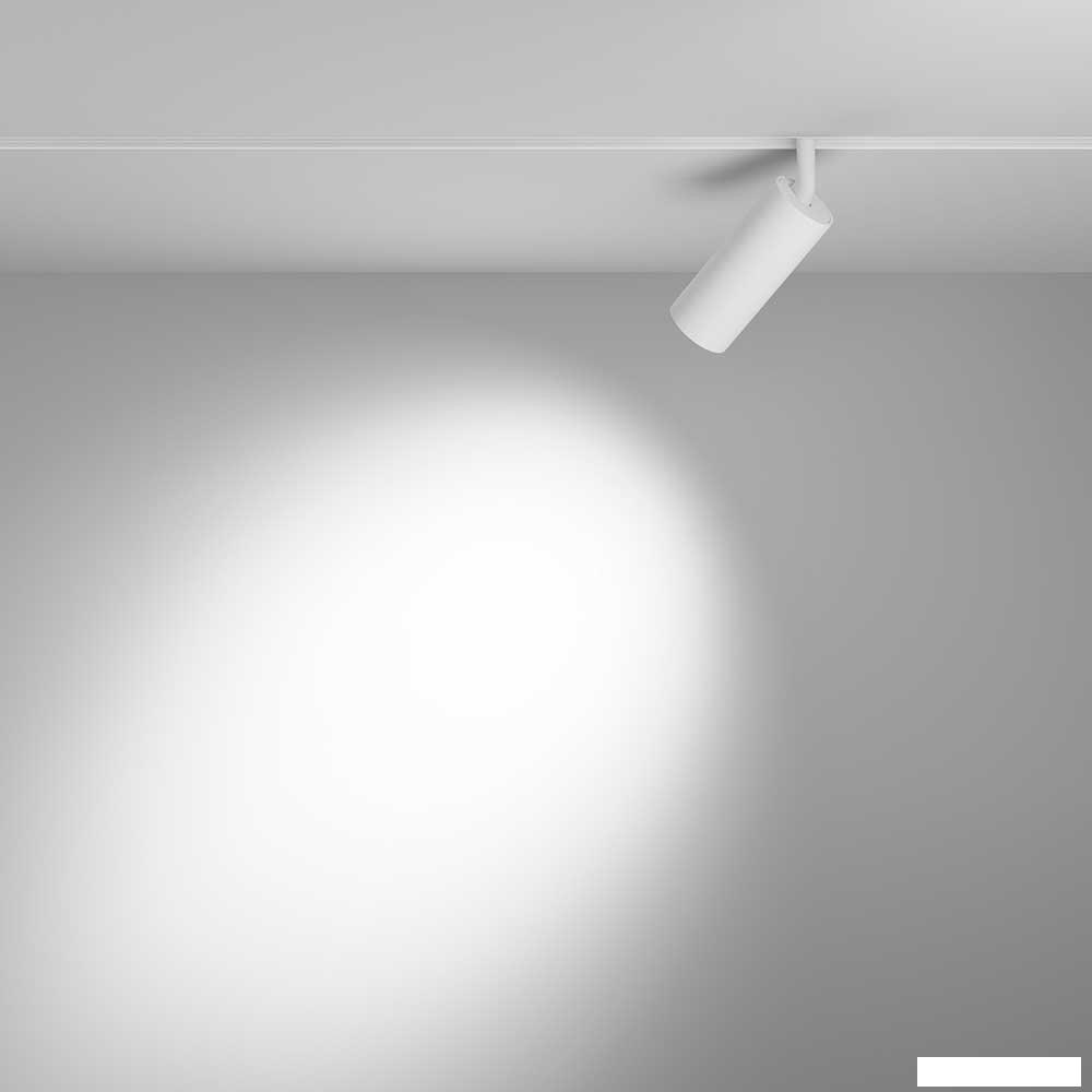 Трековый светильник Maytoni Technical Focus Led TR032-4-12W3K-S-DS-W