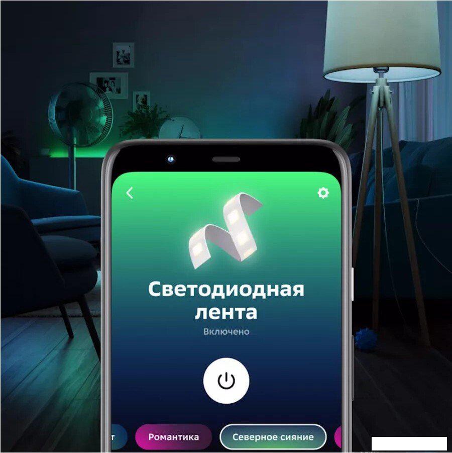Светодиодная лента Sber SBDV-00033