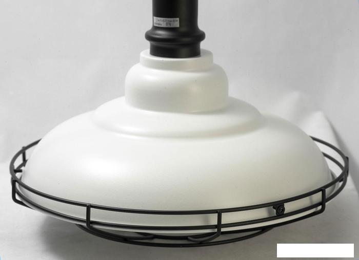 Подвесная люстра Lussole Binghamton LSP-9848