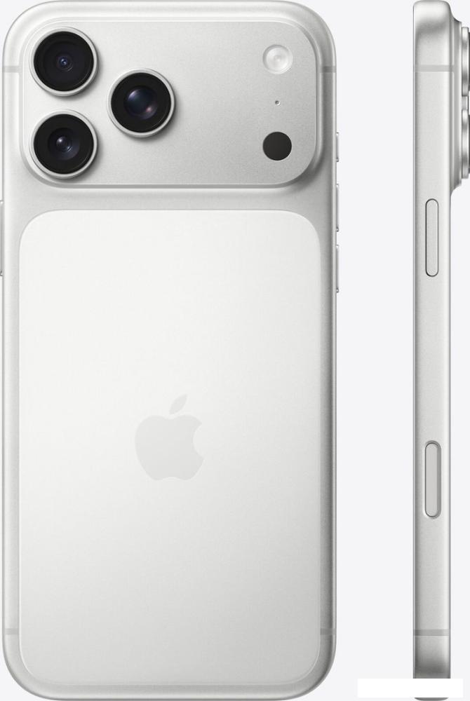 Телефон Apple iPhone 17 Pro Max 256GB (серебристый)