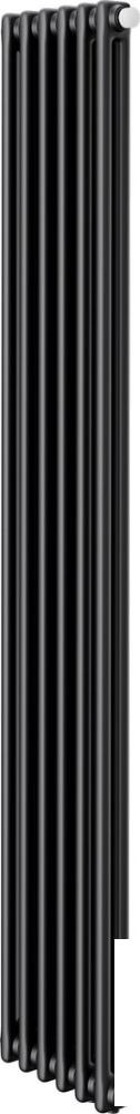 Стальной трубчатый радиатор Royal Thermo Insignia VC2180 - 06 секций RAL9005m