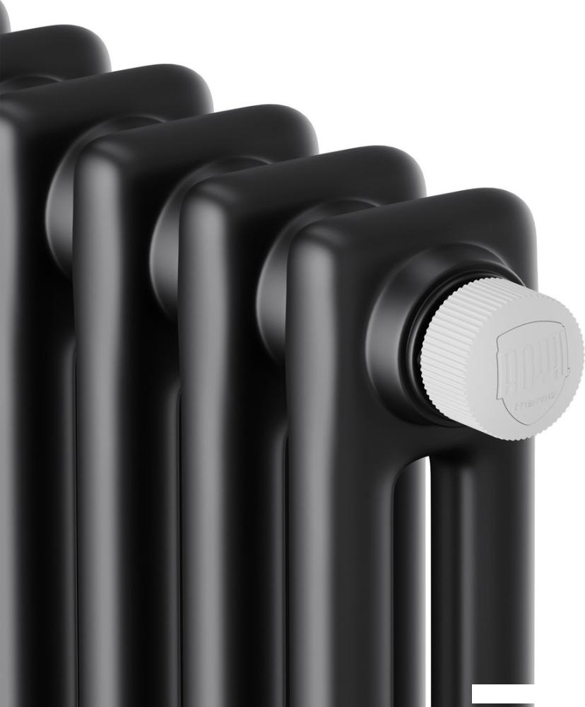 Стальной трубчатый радиатор Royal Thermo Insignia VC2180 - 04 секций RAL9005m