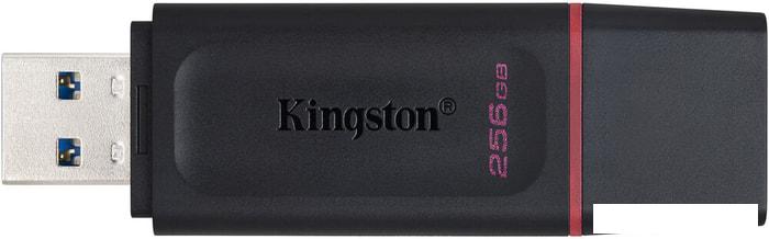 USB Flash Kingston Exodia 256GB