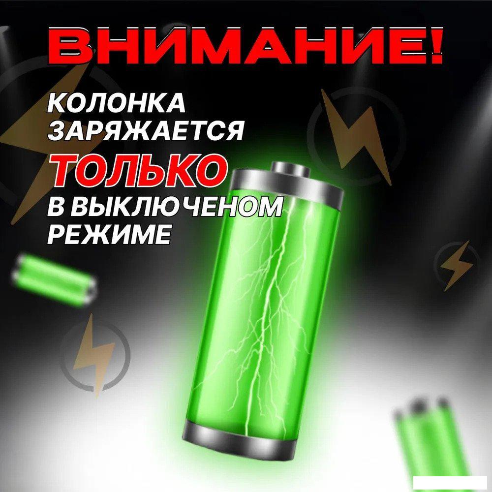 Беспроводные и портативные колонки Eltronic 30-38 Crazy Box 800