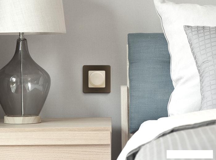 Розетки, выключатели Legrand Inspiria 673791