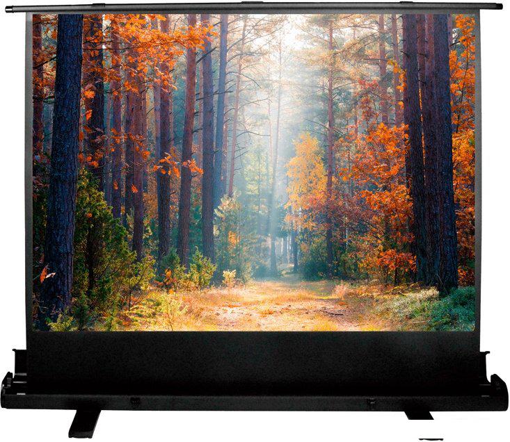 Проекционный экран CACTUS FloorExpert 135x180 CS-PSFLE-180X135