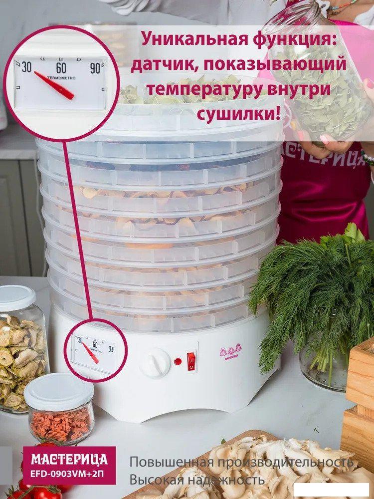 Сушилка для овощей и фруктов Мастерица EFD-0903VM (с прозрачными поддонами + 2 поддона для пастилы и лопатка)