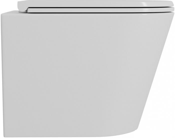 Унитаз подвесной D&amp;K Venice DT1026016 (белый, сиденье микролифт)
