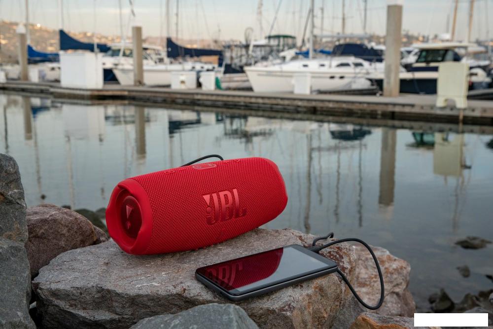 Беспроводная колонка JBL Charge 5 (серый)