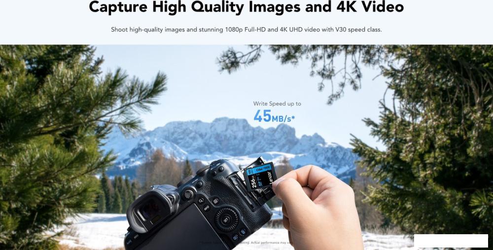 Карта памяти Lexar High-Performance 800x Pro SDXC LSD0800P256G-BNNNG 256GB