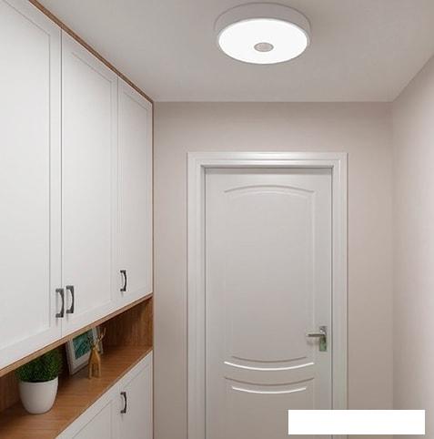 Светильник-тарелка Yeelight Ceiling Light YLXD09YL
